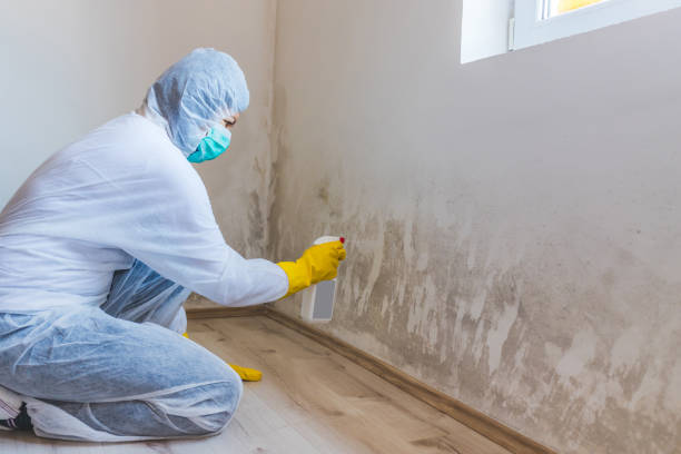 Mold inspector in Portsmouth performing thermal imaging